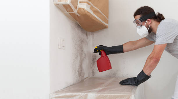 Professional Mold Removal technician working in Woodville, VA