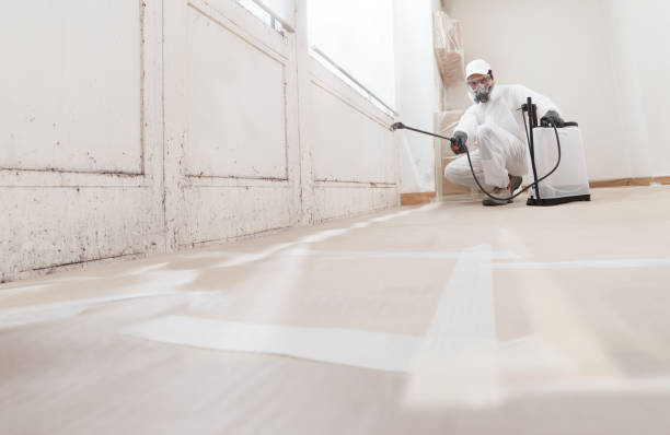 24/7 Emergency Mold Removal experts in Woodville, VA