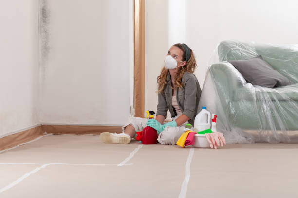 Reliable Mold Removal contractor in Woodville, VA by 24 Hour Mold Removal